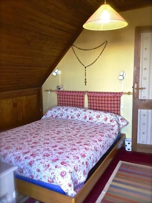 Appartement Dans Chalet Au Pied Des Pistes Saint-Lary-Soulan 0*,
